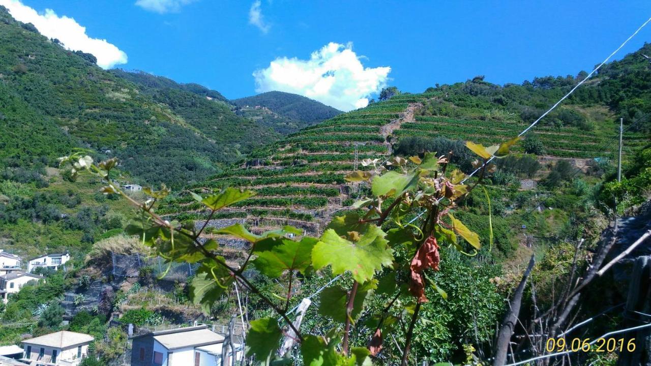 Case Vacanza Reggimonti Cinque Terre 보나솔라 외부 사진