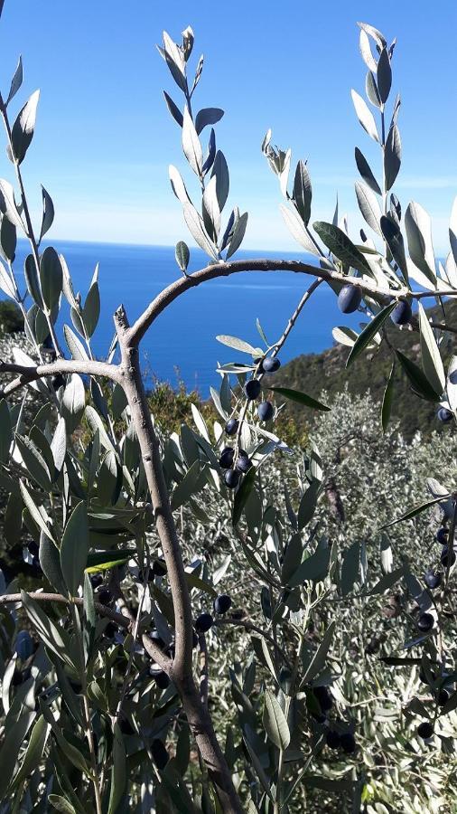 Case Vacanza Reggimonti Cinque Terre 보나솔라 외부 사진