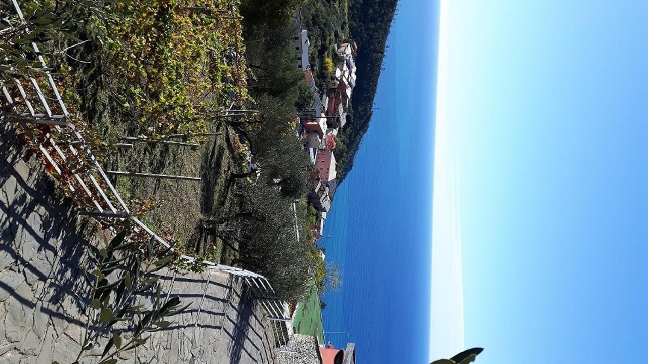 Case Vacanza Reggimonti Cinque Terre 보나솔라 외부 사진